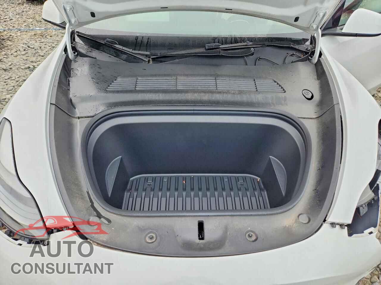 TESLA MODEL Y 2024 - 7SAYGDEEXRF170331