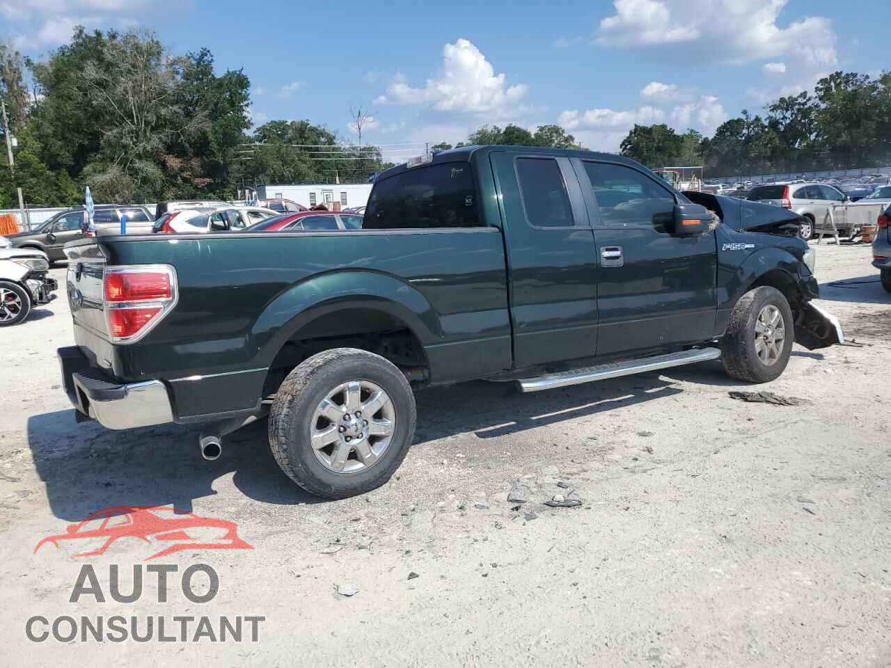 FORD F-150 2013 - 1FTFX1CF2DFA72249