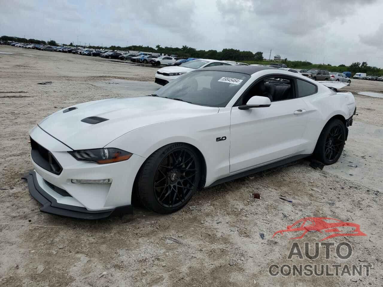 FORD MUSTANG 2019 - 1FA6P8CF6K5166877