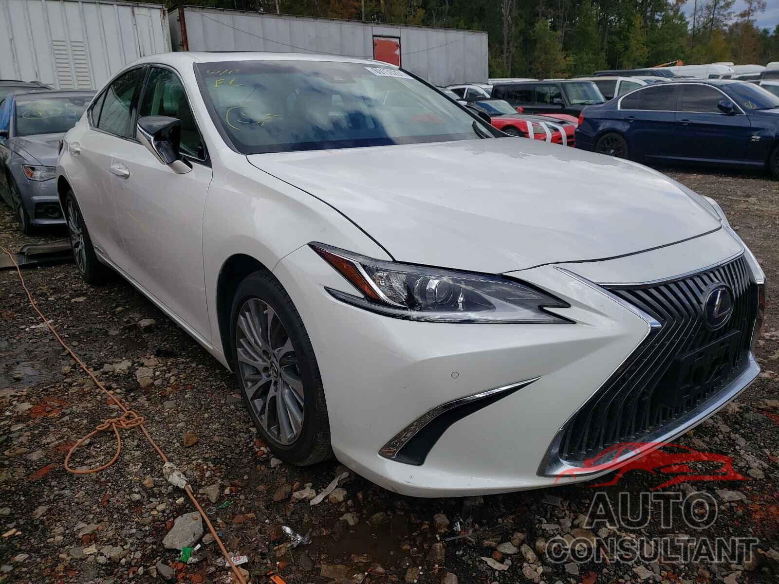 LEXUS ES300 2020 - 58AD21B15LU005753