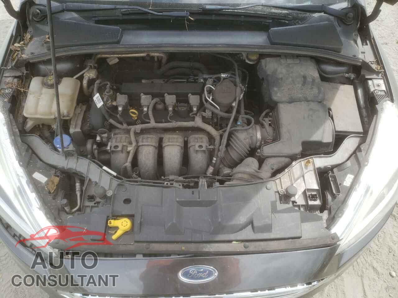 FORD FOCUS 2016 - 1FADP3N22GL259774