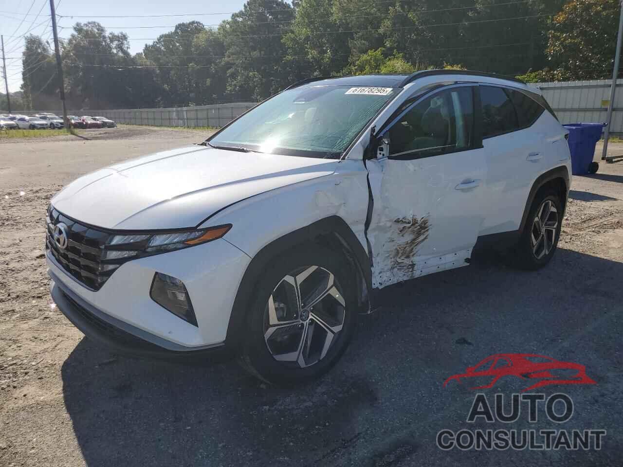 HYUNDAI TUCSON 2024 - KM8JCCD17RU243757