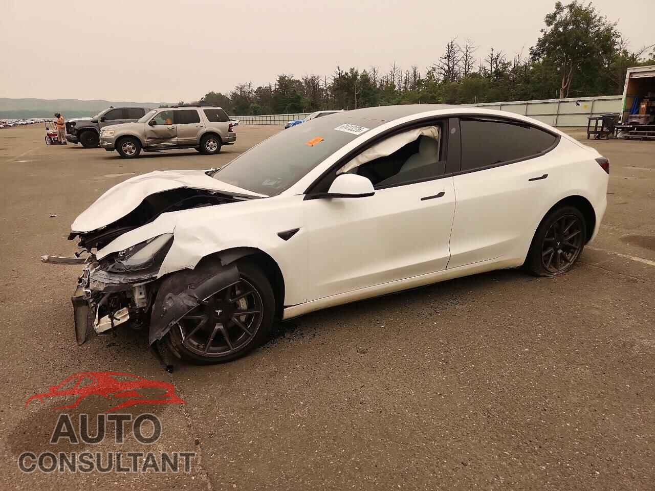 TESLA MODEL 3 2021 - 5YJ3E1EA4MF915950