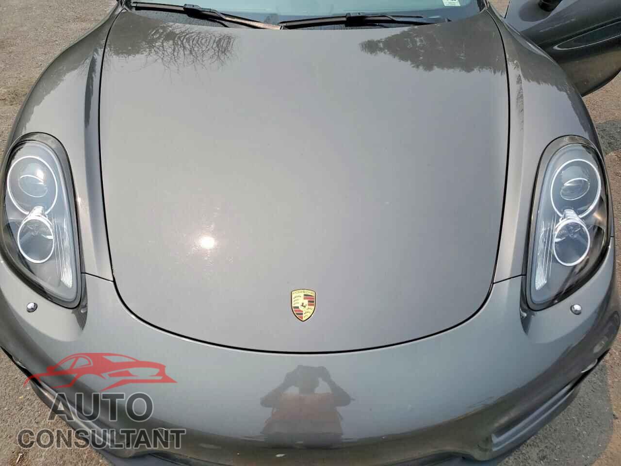PORSCHE CAYMAN 2014 - WP0AA2A82EK170311