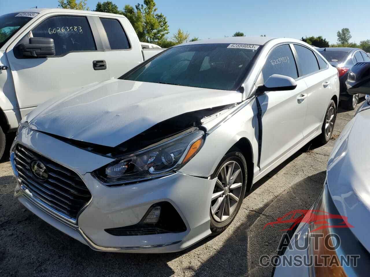 HYUNDAI SONATA 2019 - 5NPE24AF6KH812399
