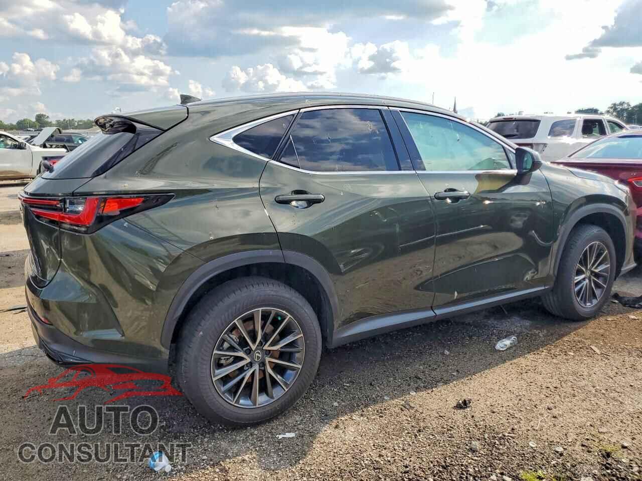LEXUS NX 2026 - 2T2AKCEZ2TC068491