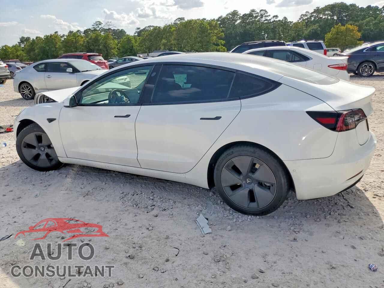 TESLA MODEL 3 2021 - 5YJ3E1EA2MF986404