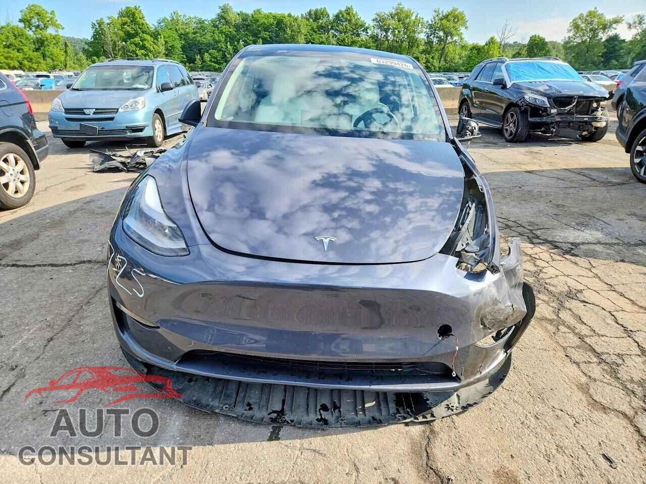 TESLA MODEL Y 2023 - 7SAYGDEDXPF931119