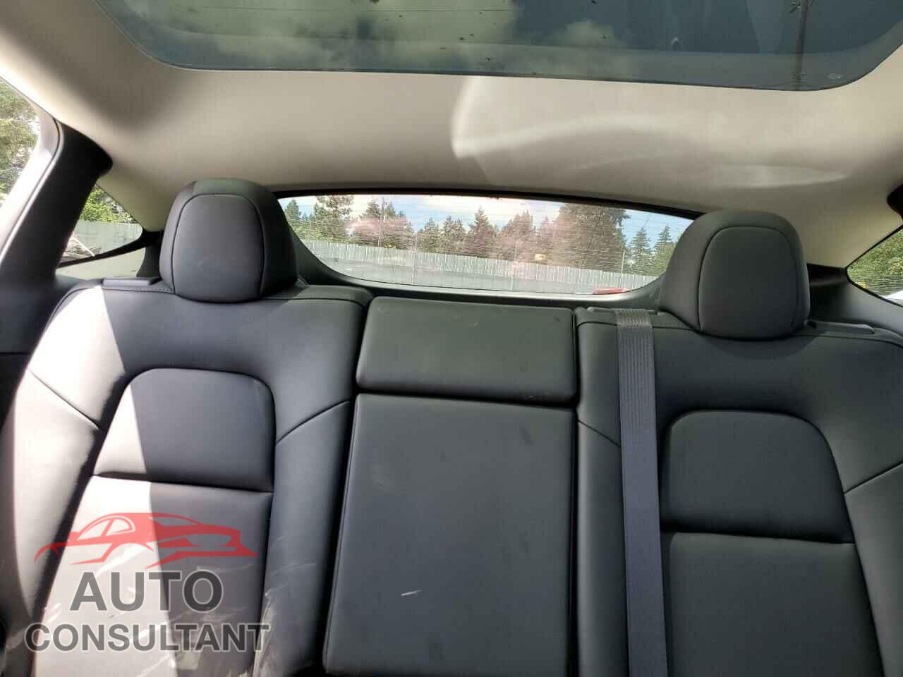 TESLA MODEL Y 2024 - 7SAYGDED1RF053003