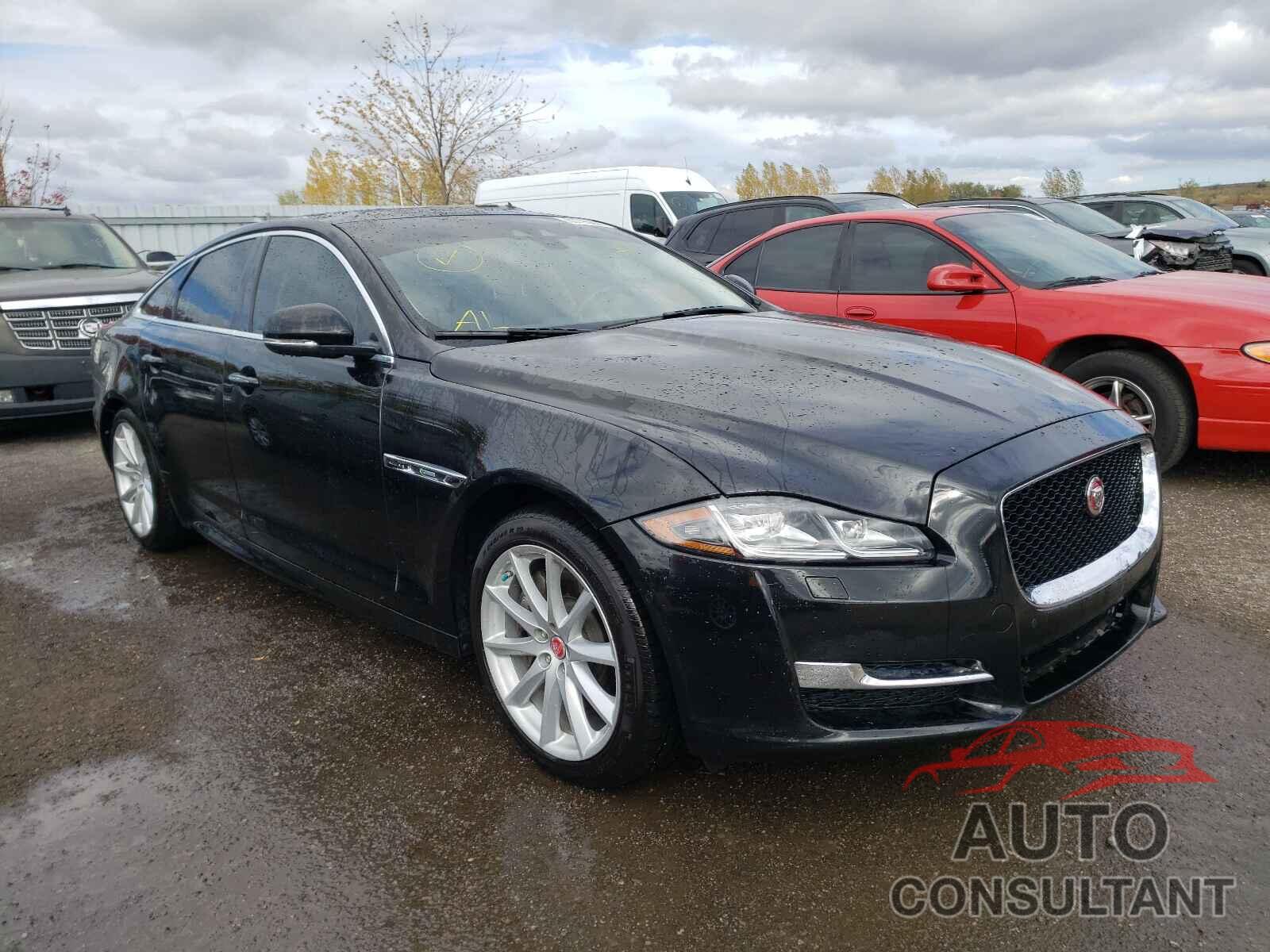 JAGUAR XJ 2019 - SAJXJ1CD9K8W21842