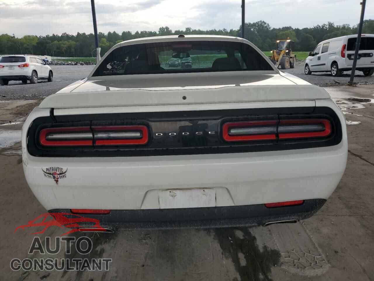 DODGE CHALLENGER 2019 - 2C3CDZAGXKH669509