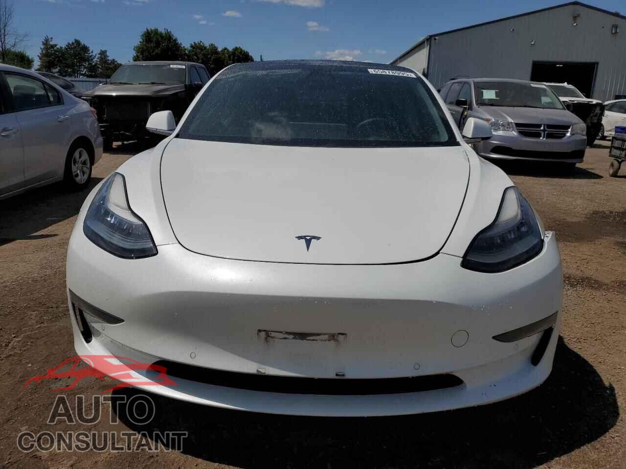 TESLA MODEL 3 2019 - 5YJ3E1EA8KF487782