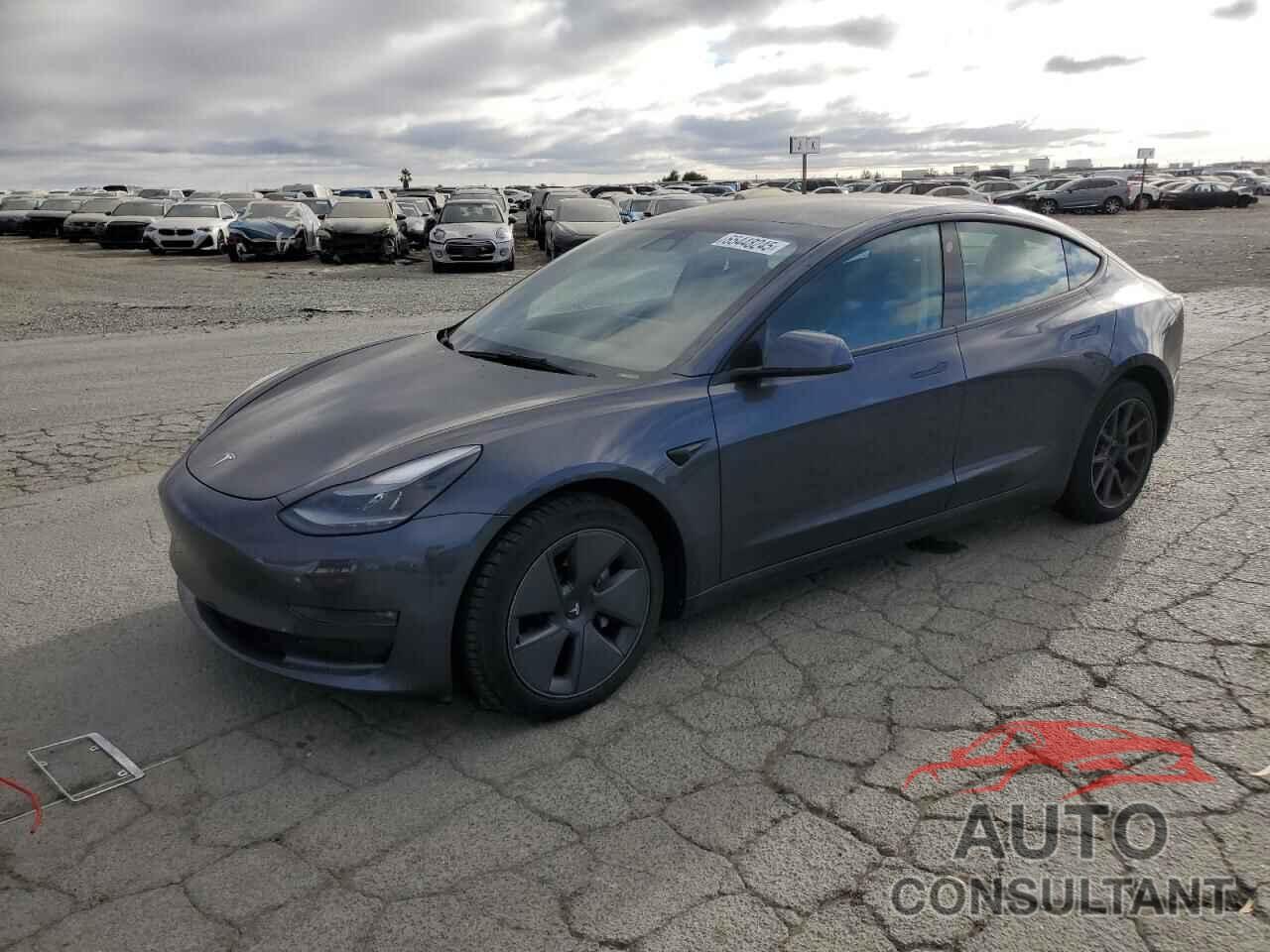 TESLA MODEL 3 2022 - 5YJ3E1EB8NF183722
