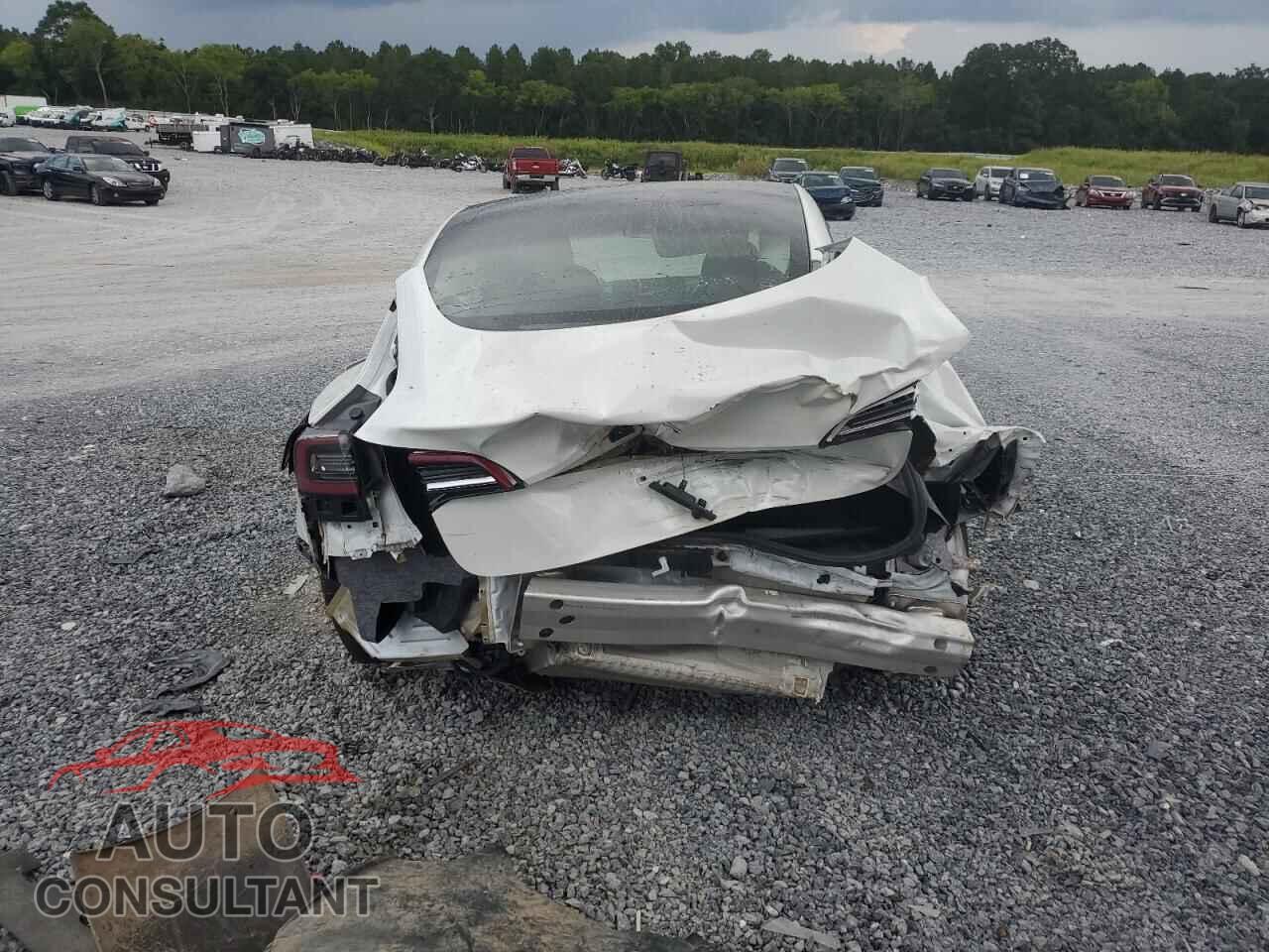 TESLA MODEL 3 2021 - 5YJ3E1EA7MF058135