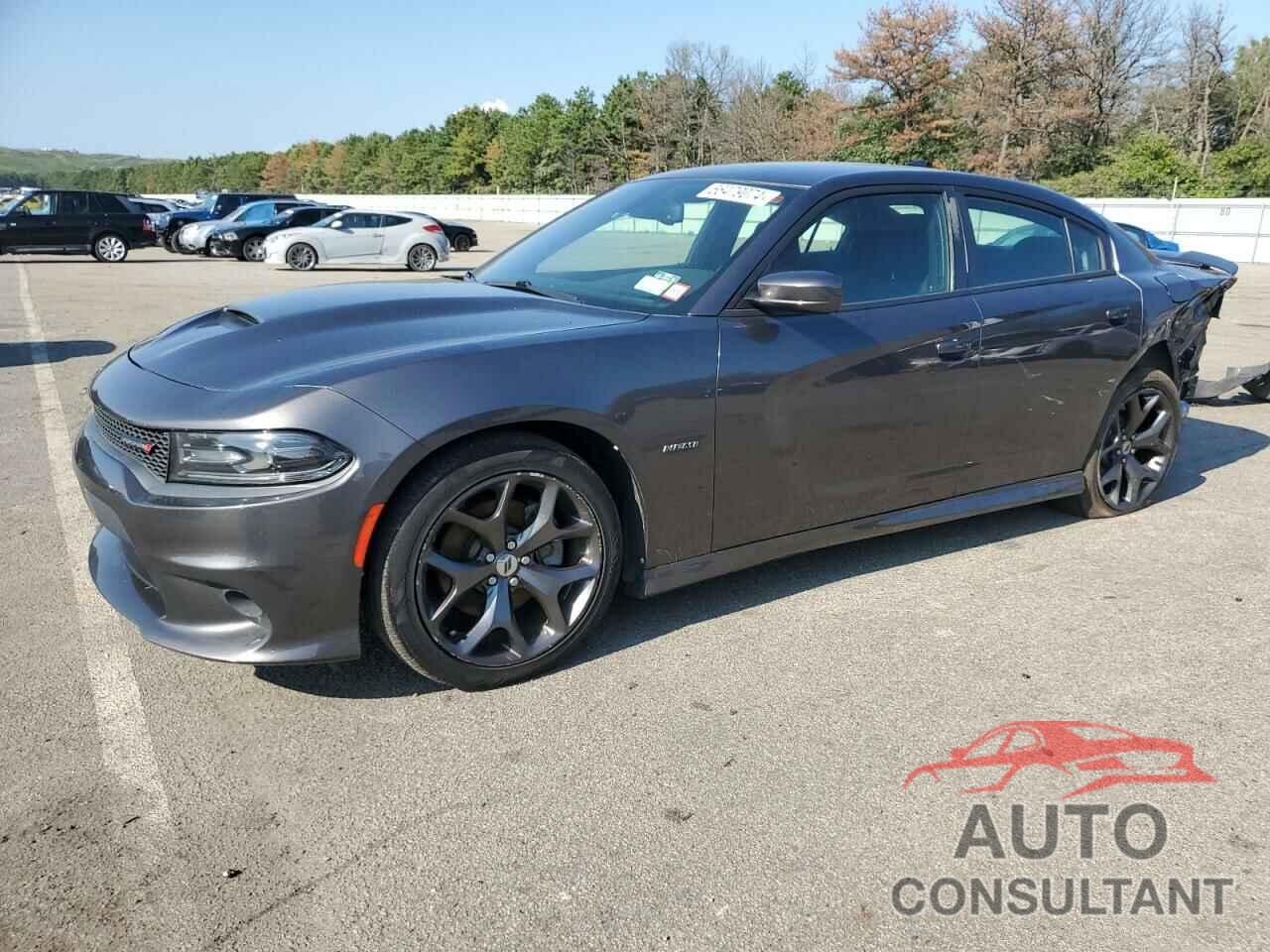 DODGE CHARGER 2019 - 2C3CDXCTXKH549871