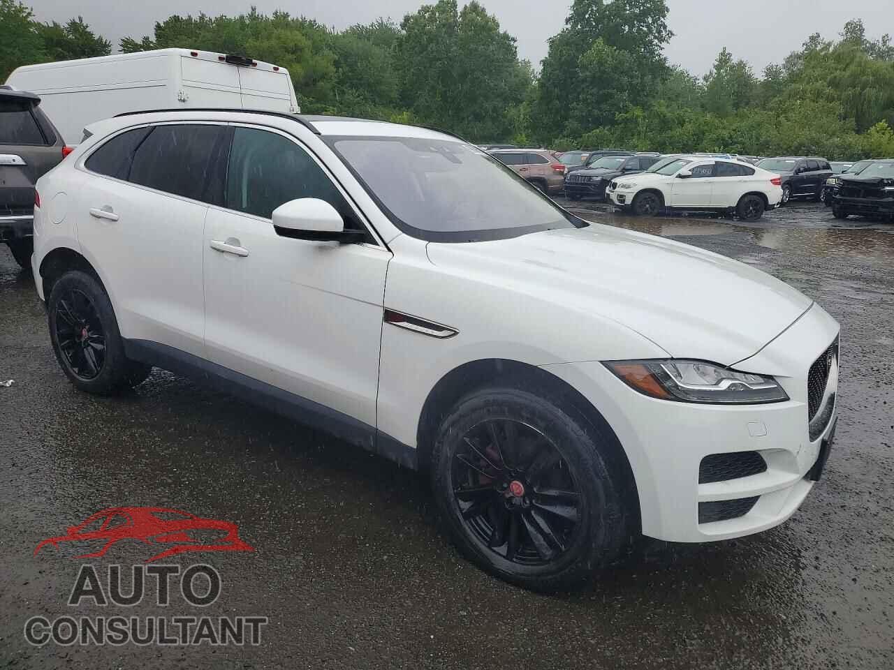 JAGUAR F-PACE 2018 - SADCK2FX8JA272903