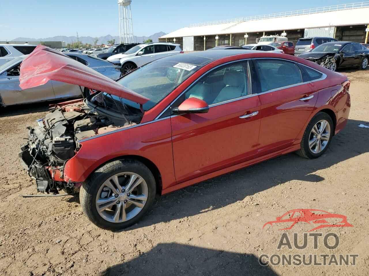 HYUNDAI SONATA 2019 - 5NPE34AF8KH730705