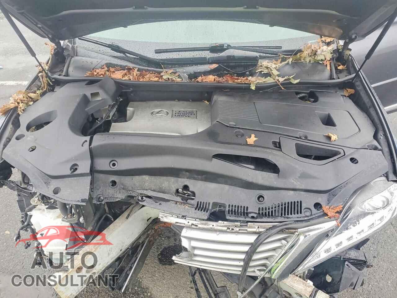 LEXUS RX450 2013 - JTJBC1BA7D2447735