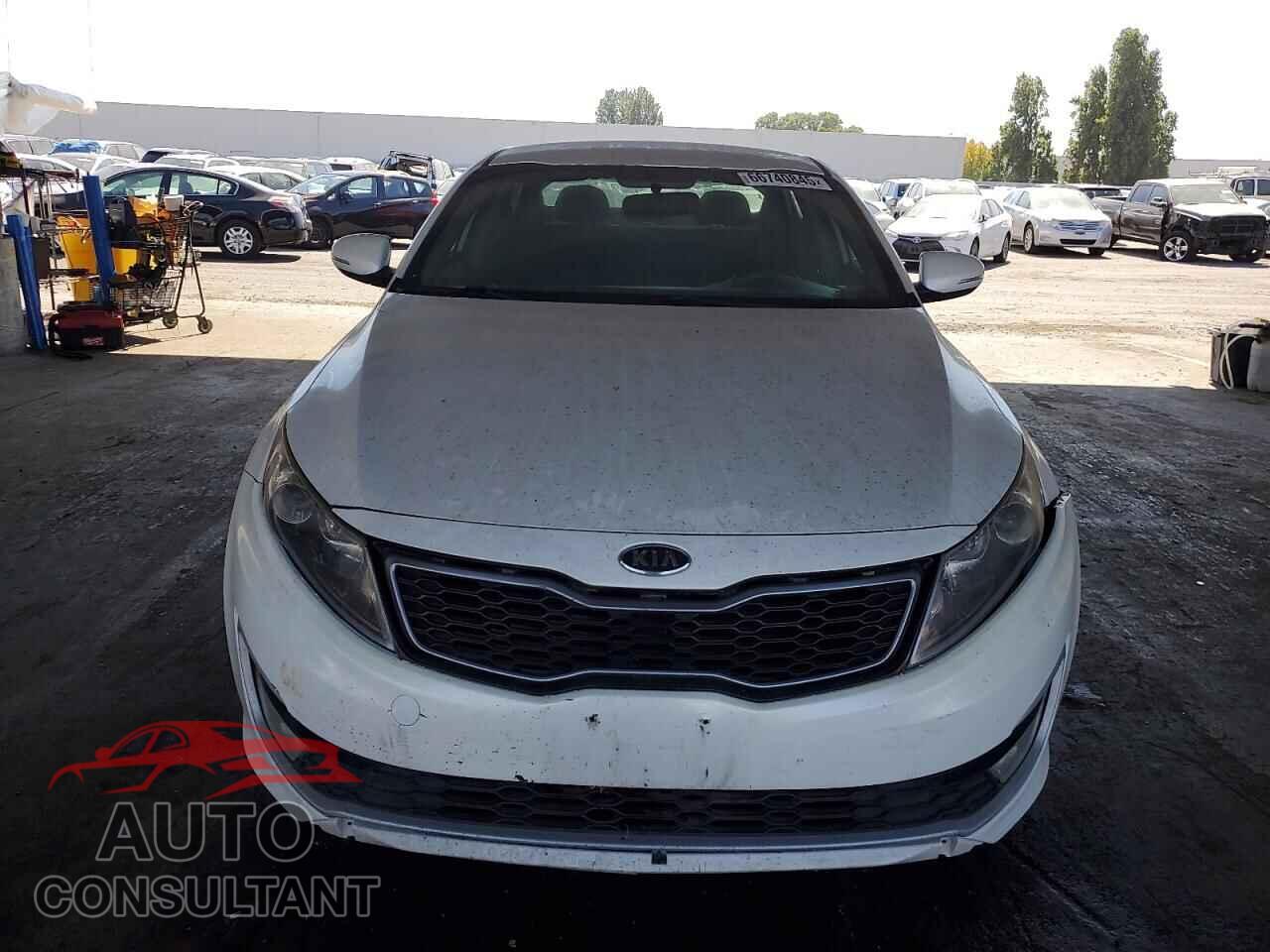 KIA OPTIMA 2011 - KNAGM4AD7B5006313