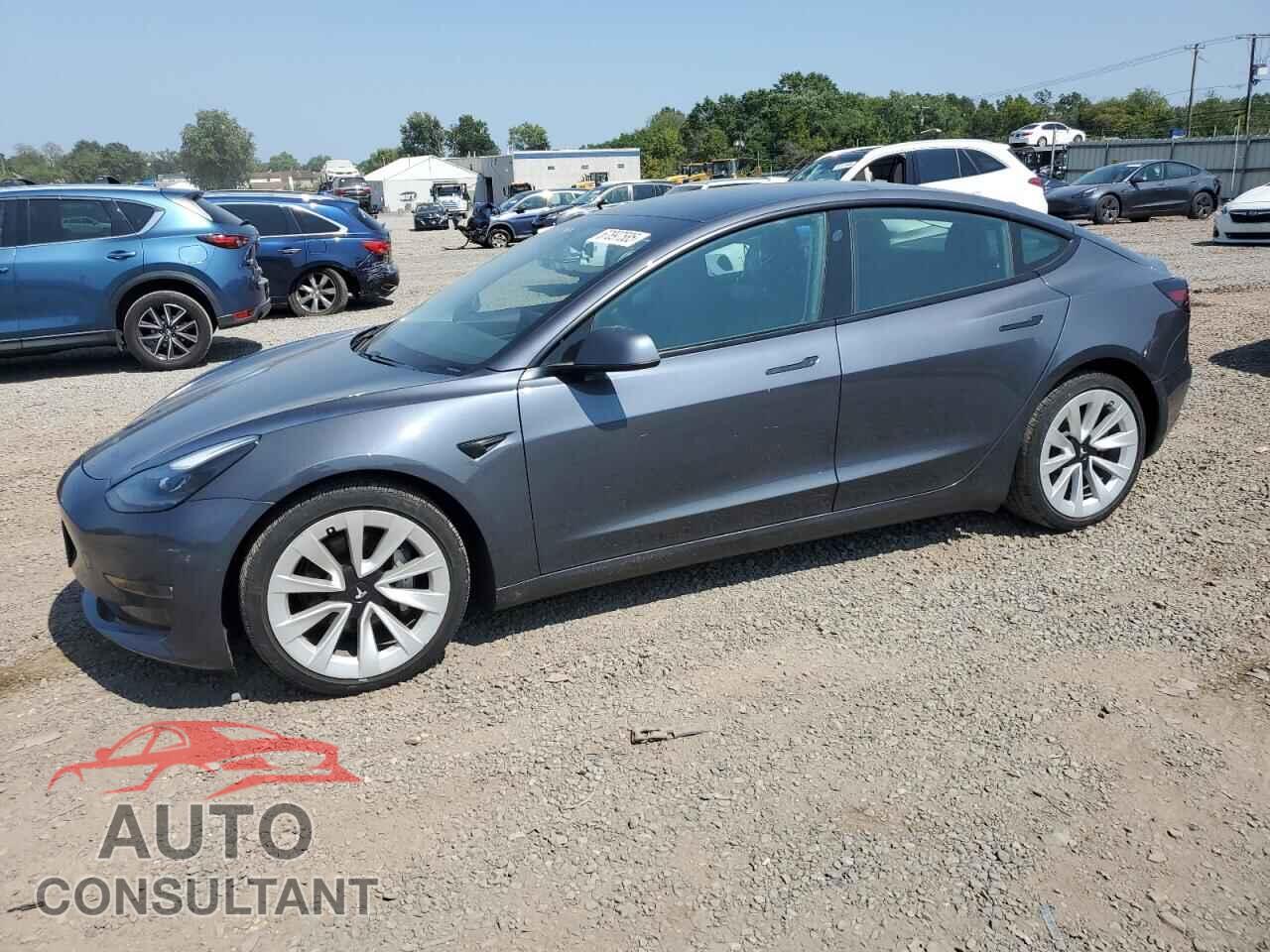 TESLA MODEL 3 2021 - 5YJ3E1EB3MF916564
