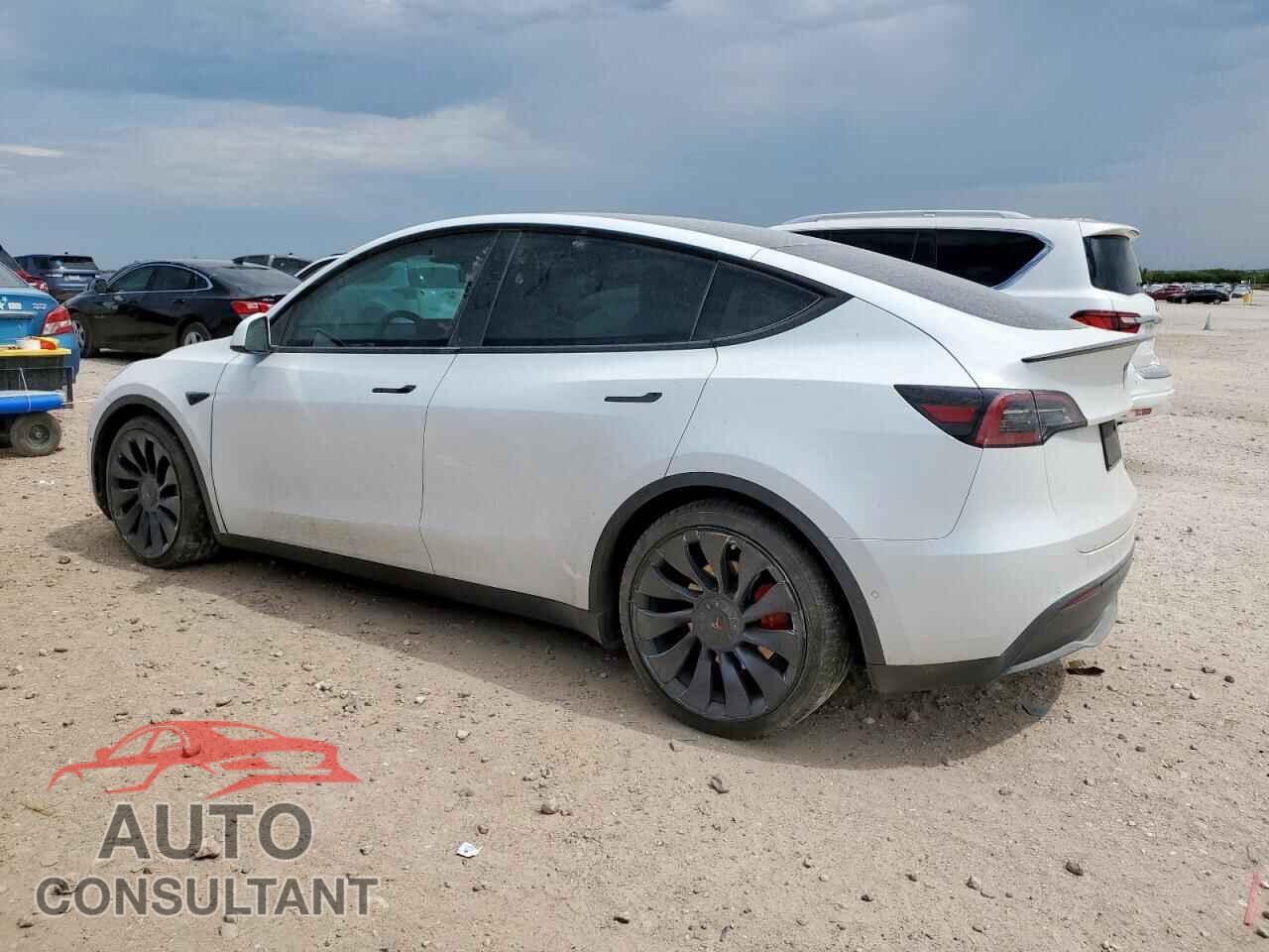 TESLA MODEL Y 2022 - 7SAYGDEF2NF563162