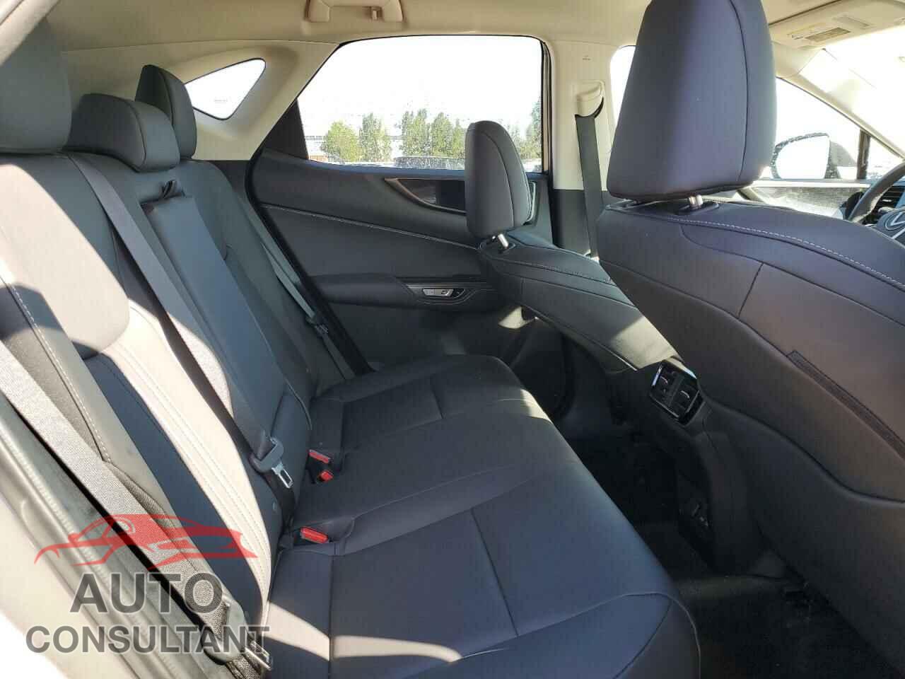 LEXUS NX 250 2023 - 2T2ADCEZ2PC003530