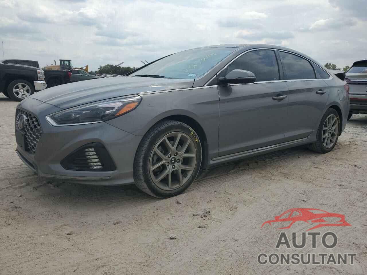 HYUNDAI SONATA 2019 - 5NPE34AB0KH821142
