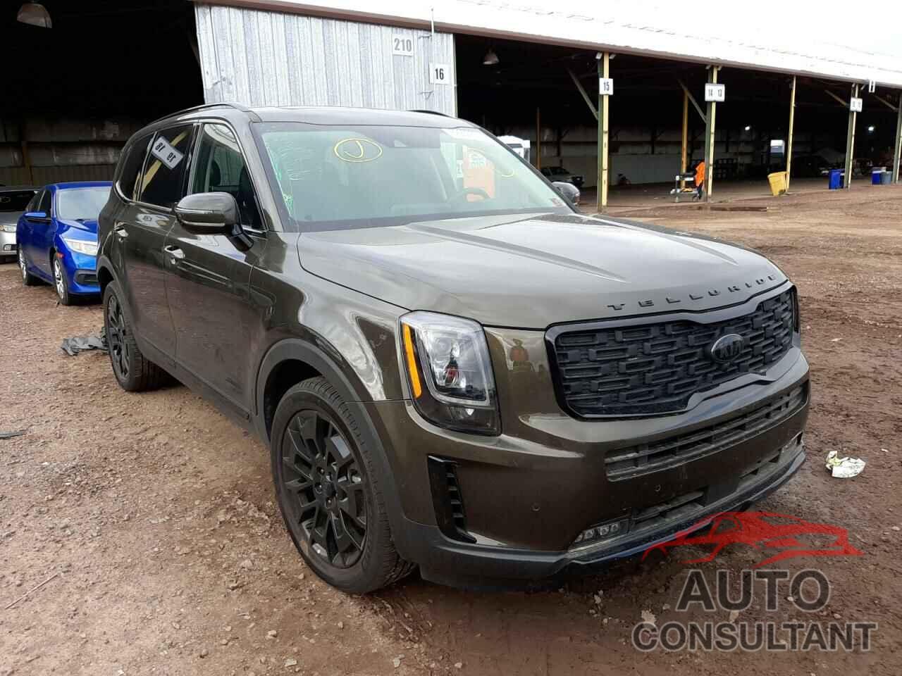 KIA TELLURIDE 2021 - 5XYP5DHC9MG115489