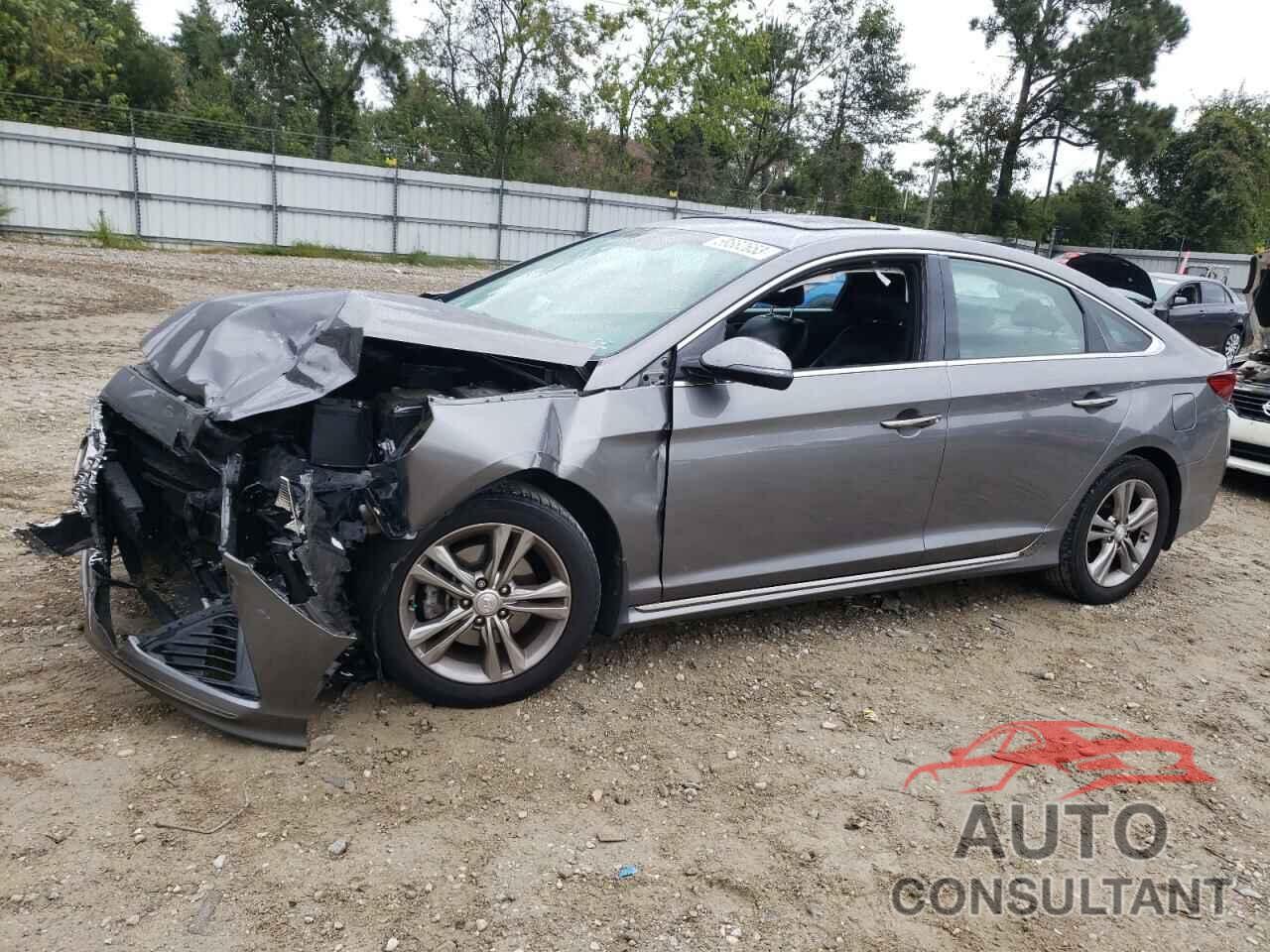 HYUNDAI SONATA 2019 - 5NPE34AF8KH821389