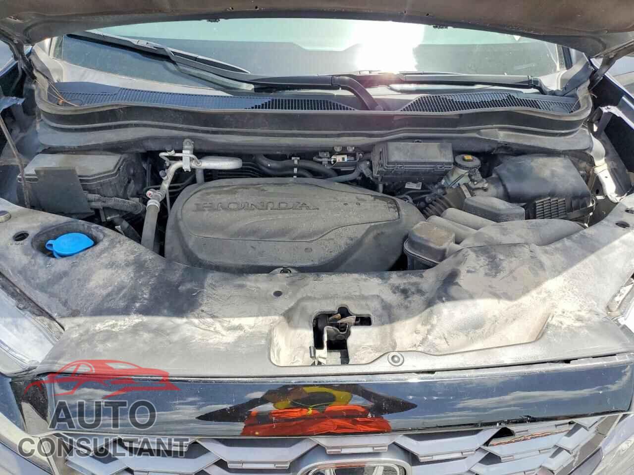 HONDA RIDGELINE 2024 - 5FPYK3F67RB003106