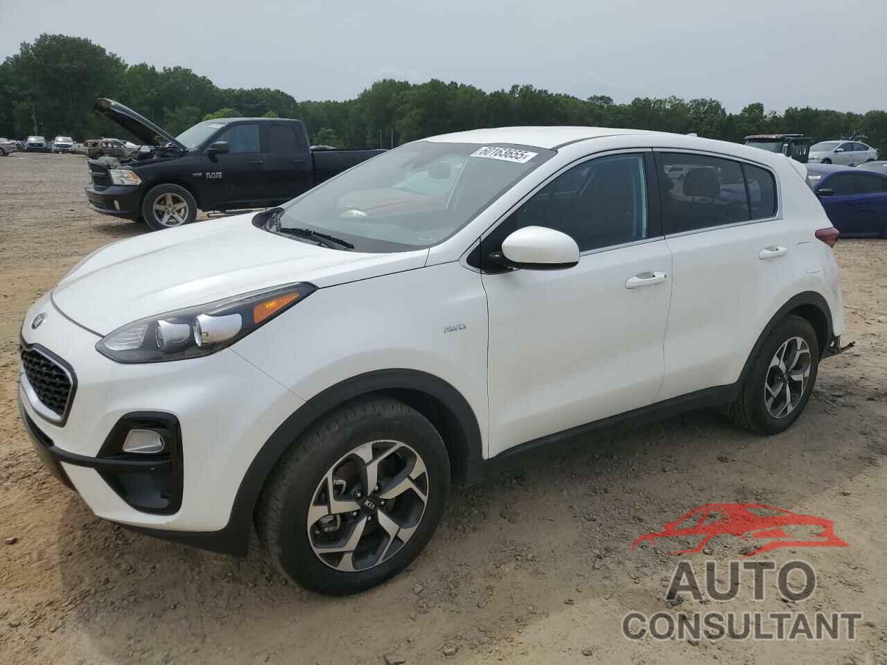 KIA SPORTAGE 2022 - KNDPMCAC3N7967990