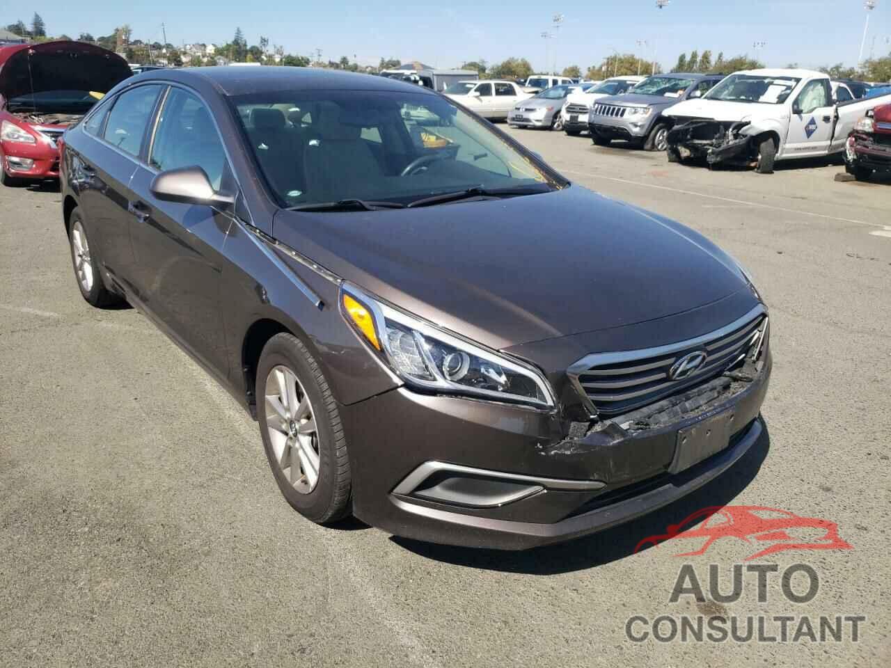HYUNDAI SONATA 2016 - 5NPE24AF7GH279857