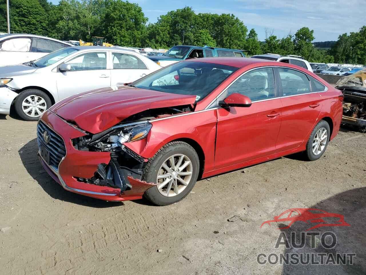 HYUNDAI SONATA 2019 - 5NPE24AF5KH820042