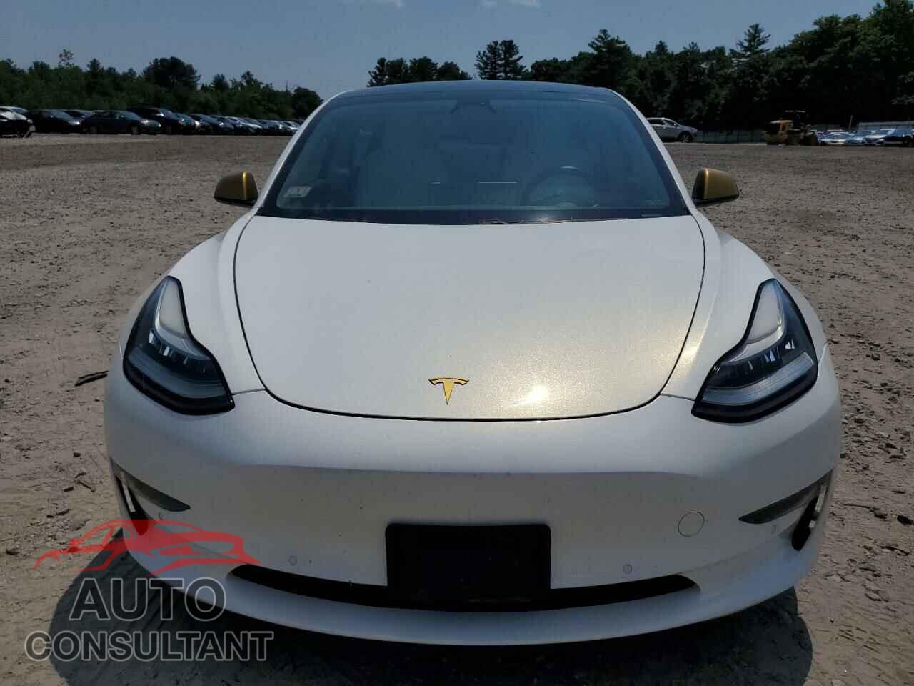 TESLA MODEL 3 2019 - 5YJ3E1EB0KF487588
