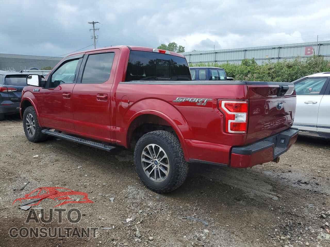FORD F150 2019 - 1FTEW1EP2KFB25307