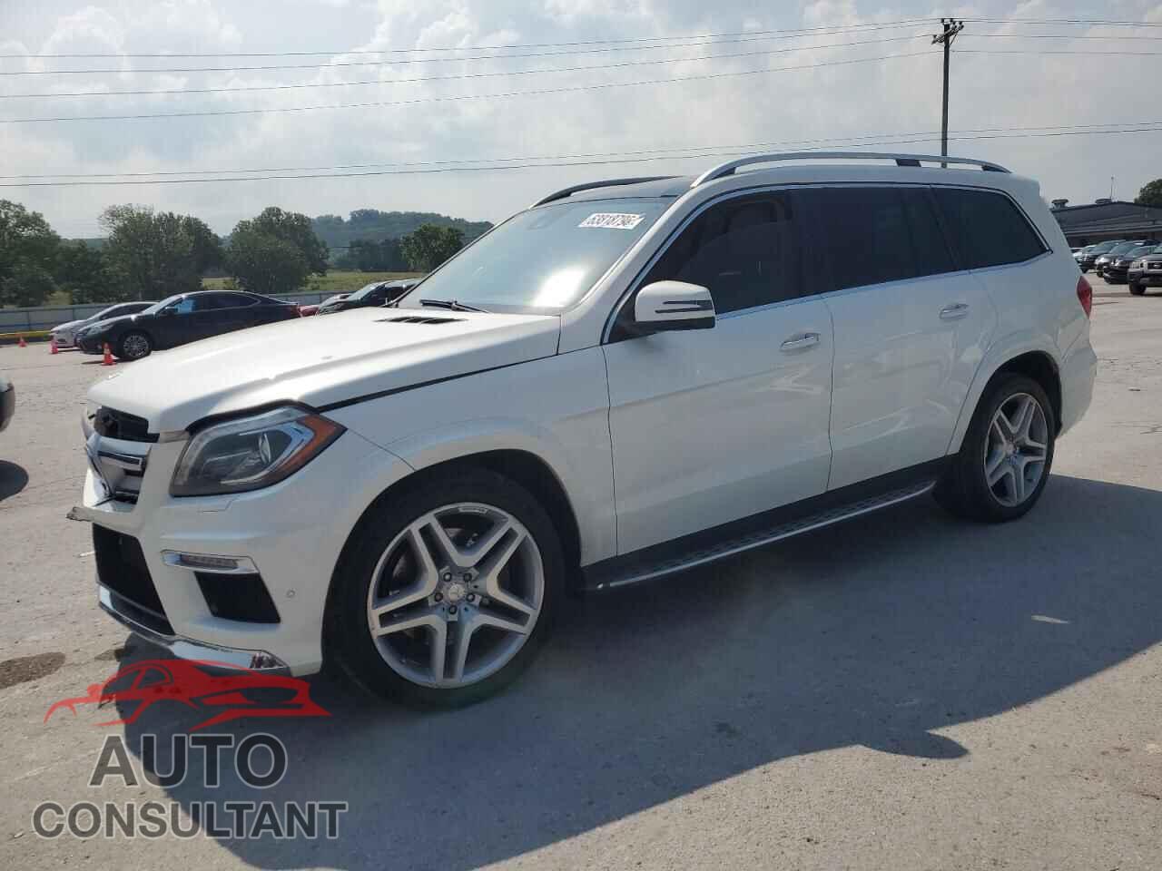 MERCEDES-BENZ GL-CLASS 2014 - 4JGDF7DE4EA333426