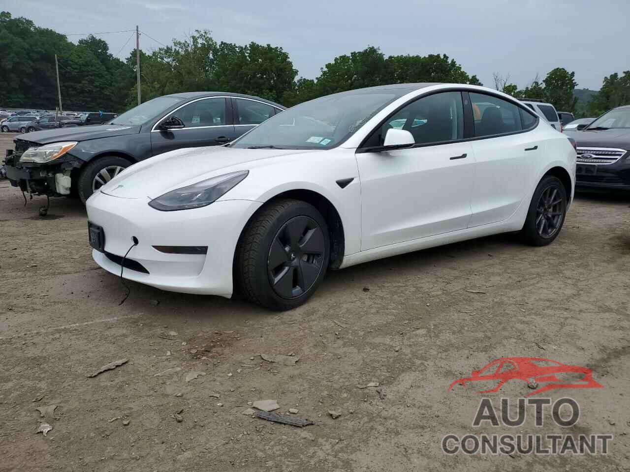 TESLA MODEL 3 2023 - 5YJ3E1EA2PF436561