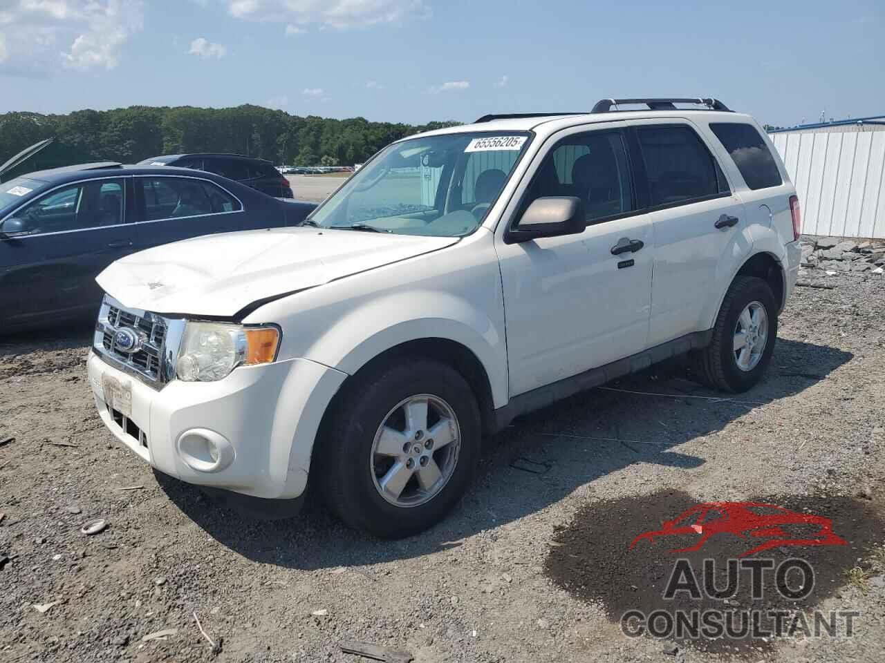 FORD ESCAPE 2010 - 1FMCU9D75AKC91190