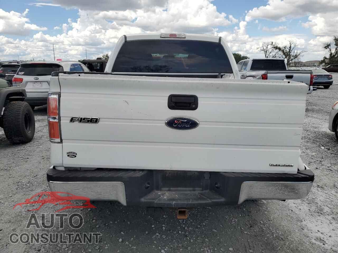 FORD F-150 2013 - 1FTFW1CF5DFD94452