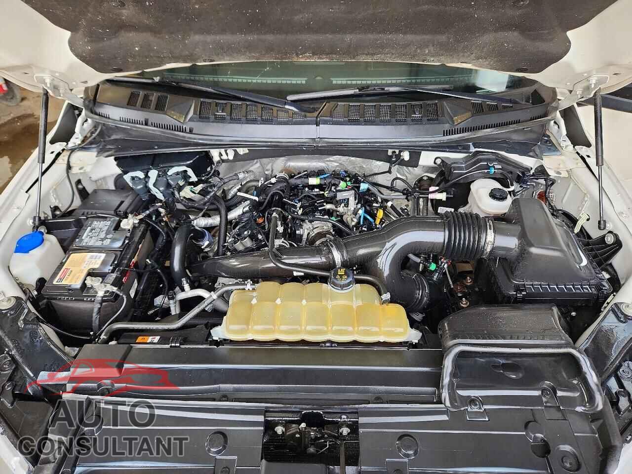FORD UNKNOWN 2019 - 1FTEW1EP3KKD37396