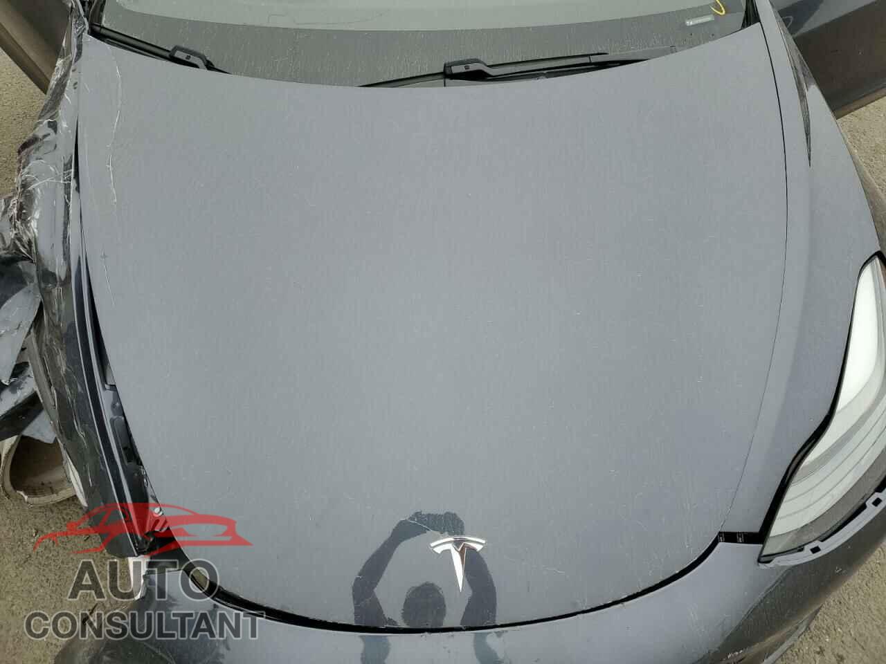 TESLA MODEL 3 2021 - 5YJ3E1EB7MF031459