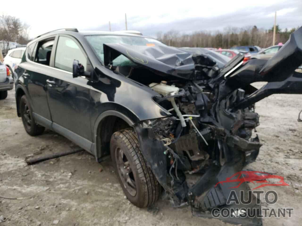TOYOTA RAV4 2016 - 2T3BFREV5GW517073
