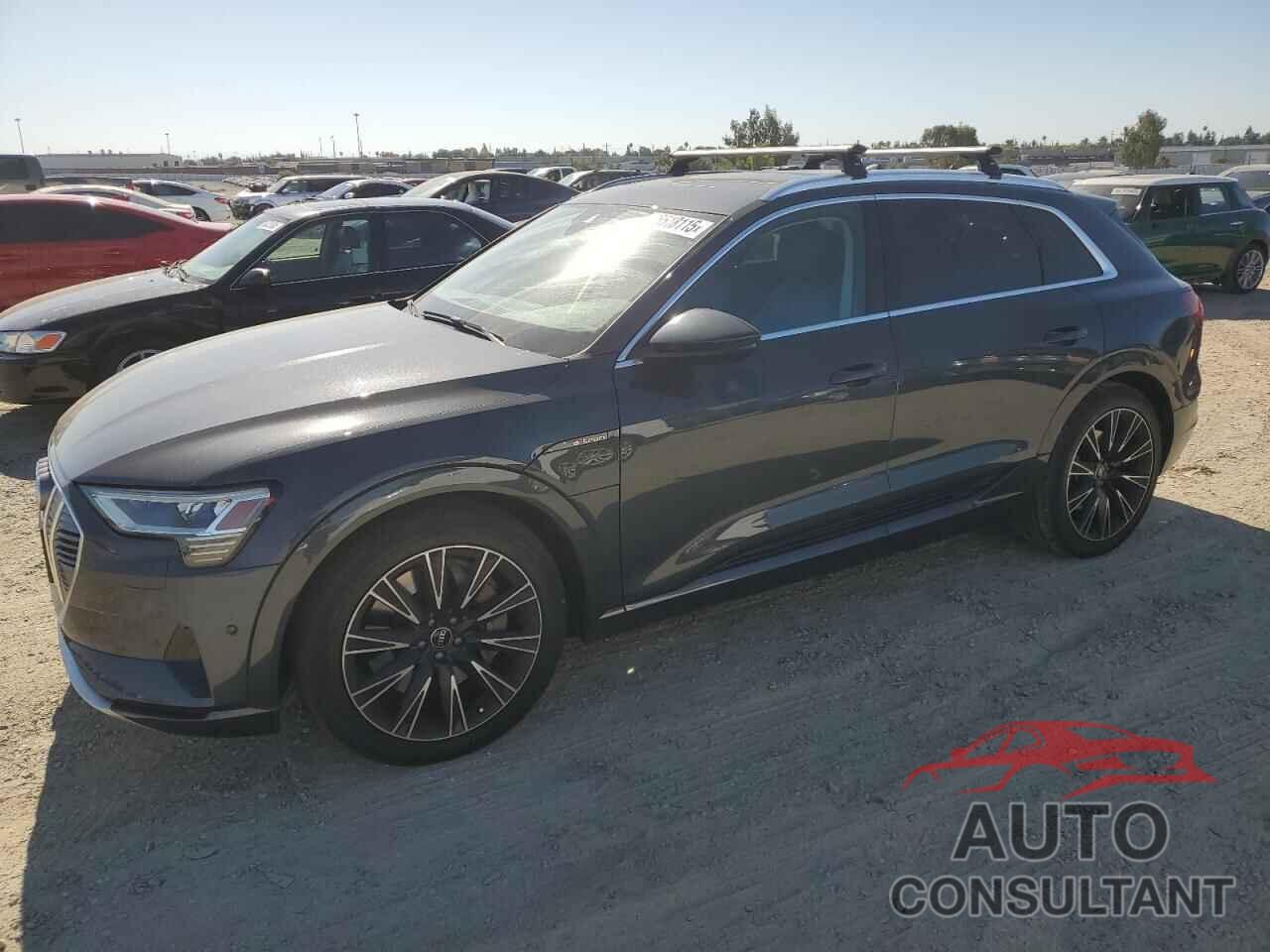 AUDI E-TRON 2019 - WA1LAAGE0KB013687
