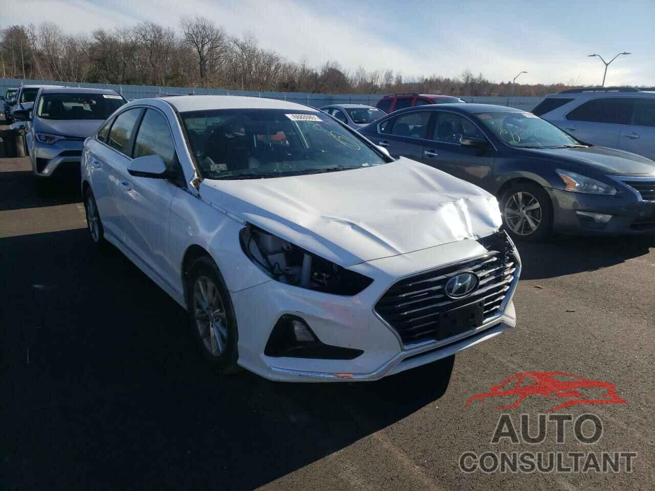 HYUNDAI SONATA 2019 - 5NPE24AF9KH795226