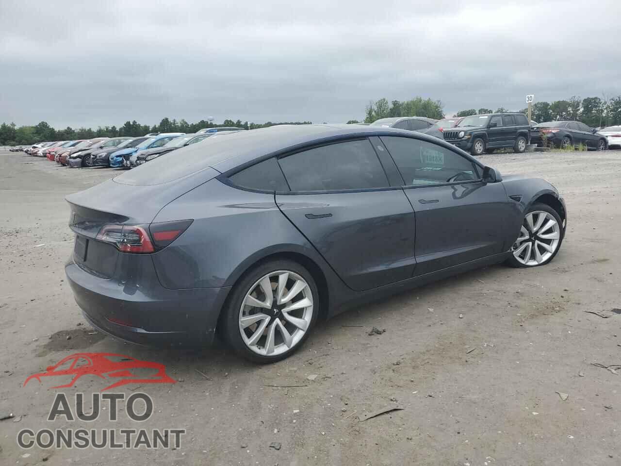 TESLA MODEL 3 2021 - 5YJ3E1EA7MF031310