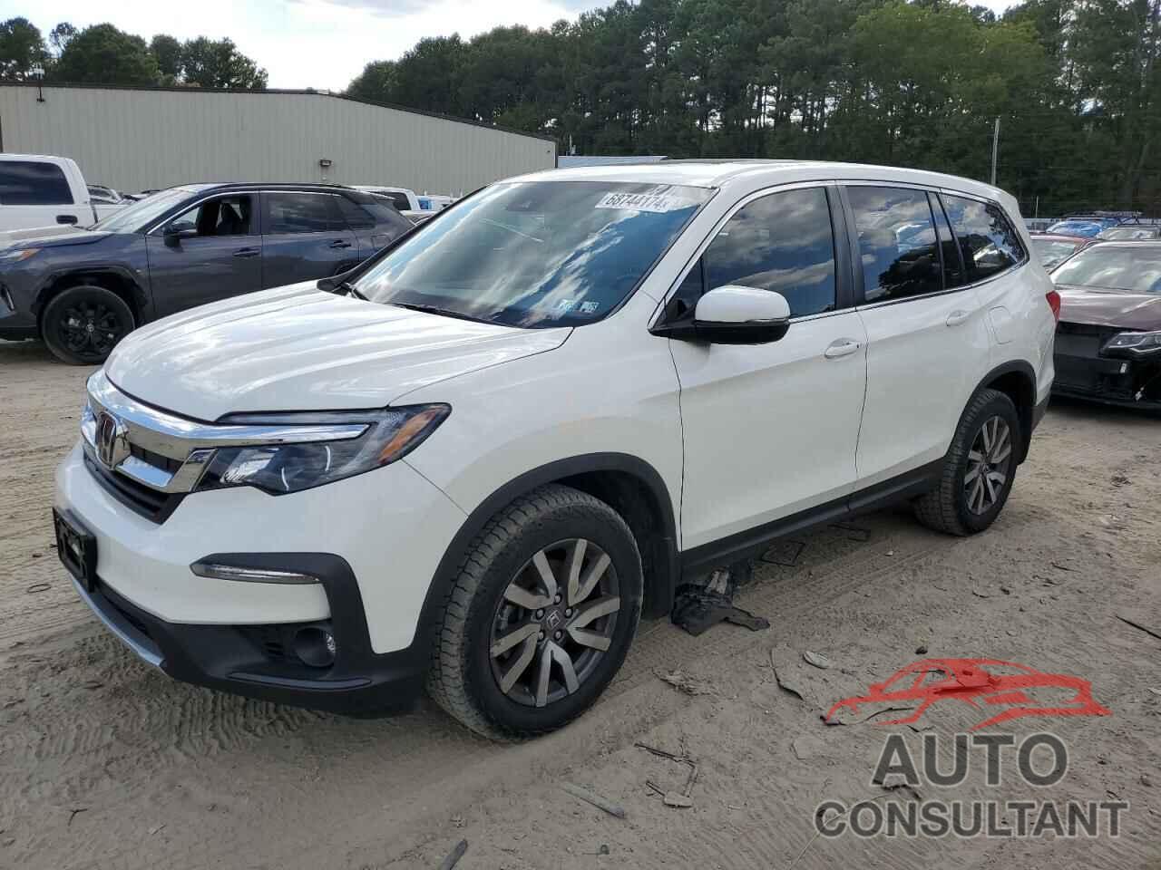 HONDA PILOT 2019 - 5FNYF6H59KB068239