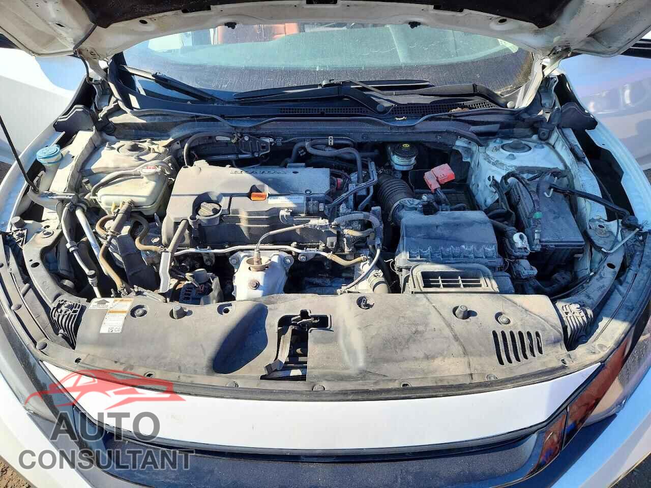 HONDA CIVIC 2019 - 2HGFC2F72KH010711