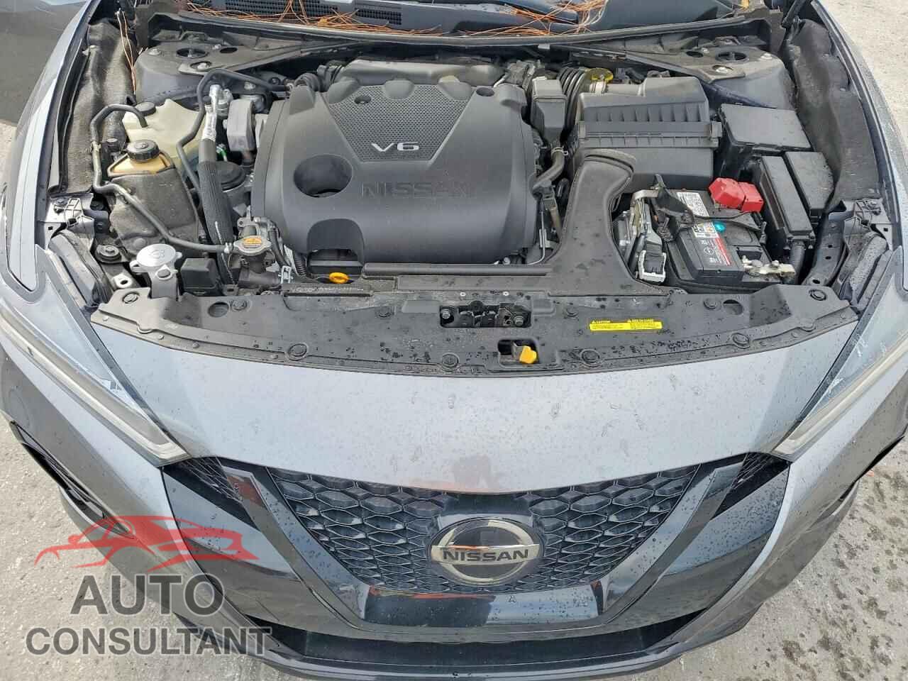 NISSAN MAXIMA 2022 - 1N4AA6EV0NC504231
