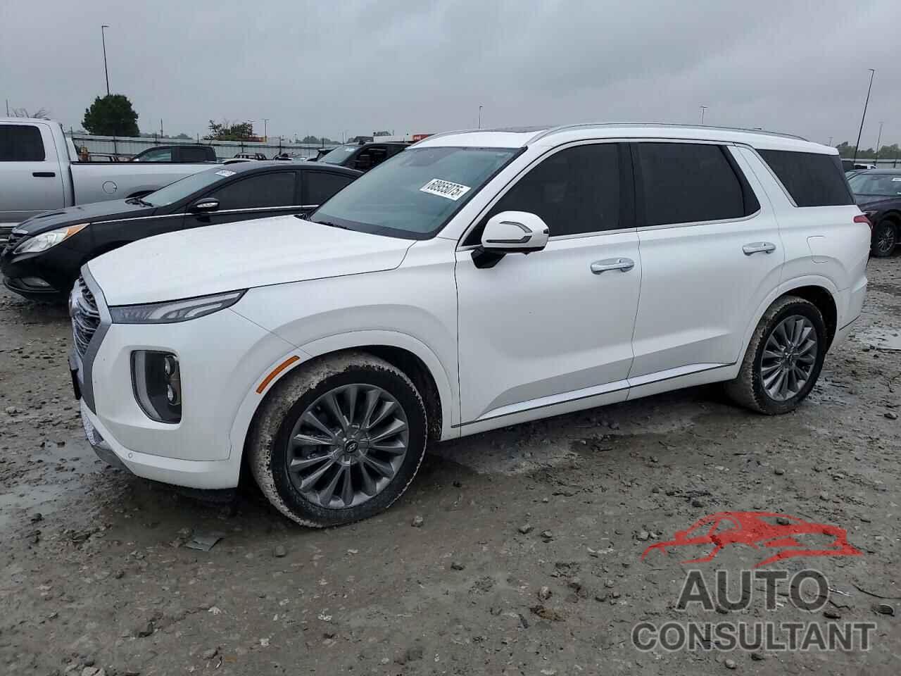 HYUNDAI PALISADE 2020 - KM8R5DHE9LU095201