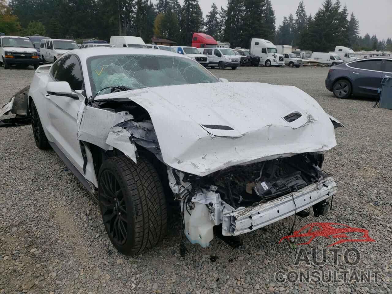 FORD MUSTANG 2019 - 1FA6P8CF9K5144095